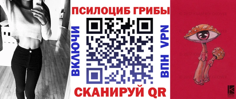 Купить где  Балахна  Галлюциногенные грибы Psilocybine cubensis 
