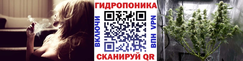 Бошки марихуана ГИДРОПОН  Купить где  Балахна 